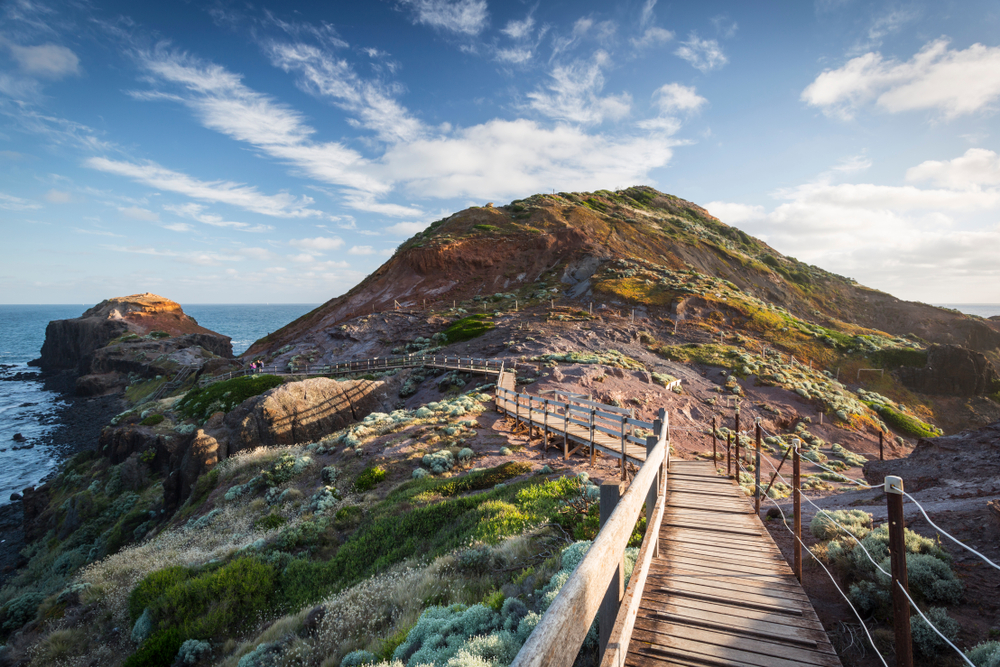 Office Catering Mornington Finger Food Caterers Mornington Fabulous Catering